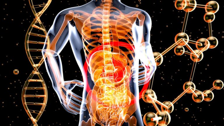 Como tomar glutamina para intestino: guia completo