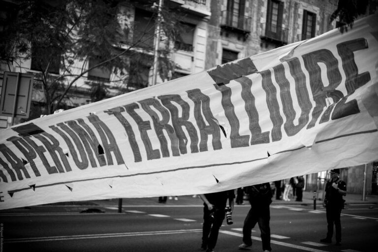 De onde é extraída a taurina? Entenda a origem e mitos